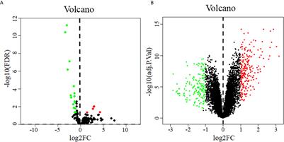 Bioinformatics Analysis of a Prognostic miRNA Signature and Potential Key Genes in Pancreatic Cancer